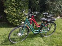 2 X City E Bike's 7 Gang saxonette Damen  Herren neuwertig Schleswig-Holstein - Schiphorst Vorschau
