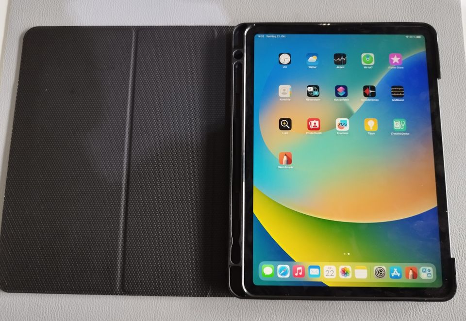 Ipad Pro 11 Wifi+Cellular 512Gb A2013 von Juli 2019 + Hülle in Aurich