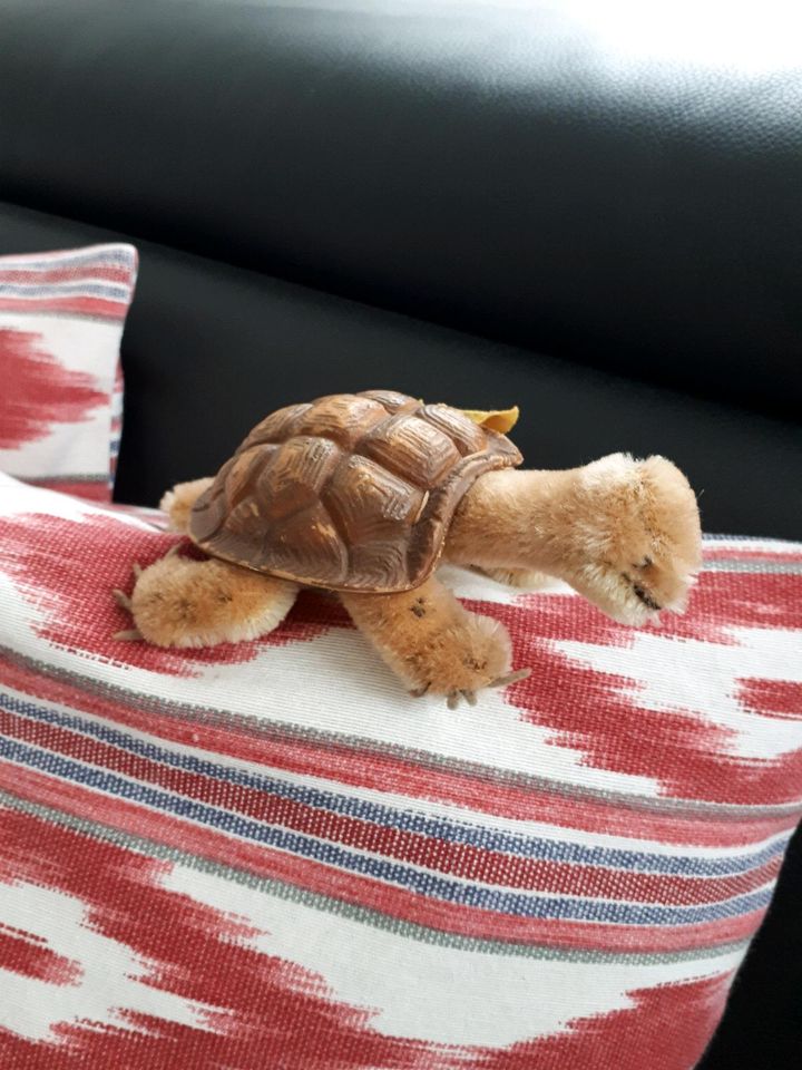 Steiff Tier Schildkröte Slo,  KF 60er Jahre in Paderborn