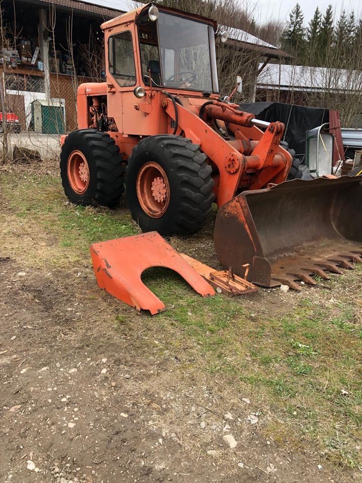 Hanomag Lader in Prien