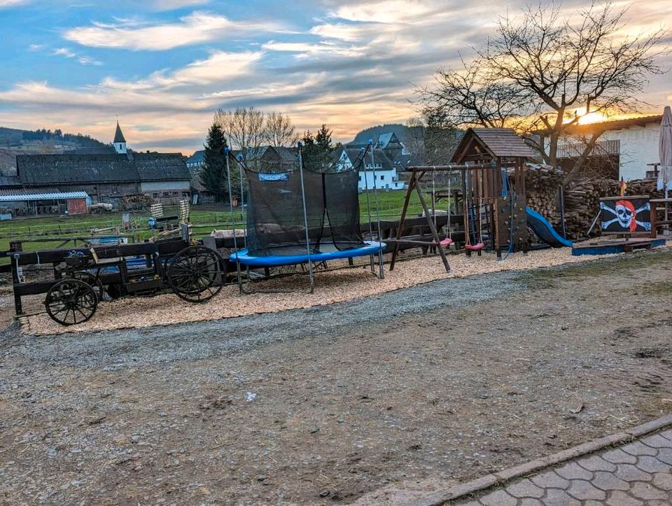 Ferienwohnung Wanderreiten Oberschledorn Sauerland Pferde/Hunde in Medebach