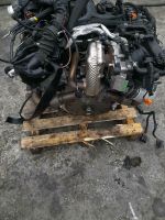 Motor  Audi  CDU  CDUB A4  A5 A6 Q5 245ps 39tkm komplett Sachsen - Dippoldiswalde Vorschau