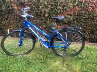 Fahrrad 28" Stevens Unisex blau X4C Rheinland-Pfalz - Gau-Odernheim Vorschau