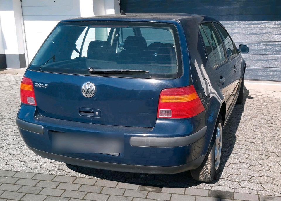 VW Golf 4 1.4 l 16 v mit TÜV in Hamm (Sieg)