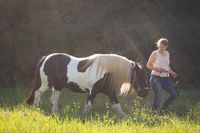 Gemeinsam unterwegs: Coaching für Pferdemenschen Baden-Württemberg - Starzach Vorschau