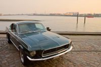 Mustang Fastback Niedersachsen - Wischhafen Vorschau