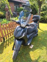 Piaggio Beverly hpe 400 s Nordrhein-Westfalen - Delbrück Vorschau