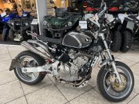 Honda CB 600F Hornet Spezialumbau Monatl ab 89€ Niedersachsen - Verden Vorschau