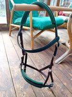 Tajara Horsewear Sidepull Bitless Bridal Gebisslose Zäumung Schleswig-Holstein - Gettorf Vorschau