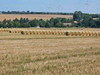 Strohballen 1,50er Sachsen - Nossen Vorschau