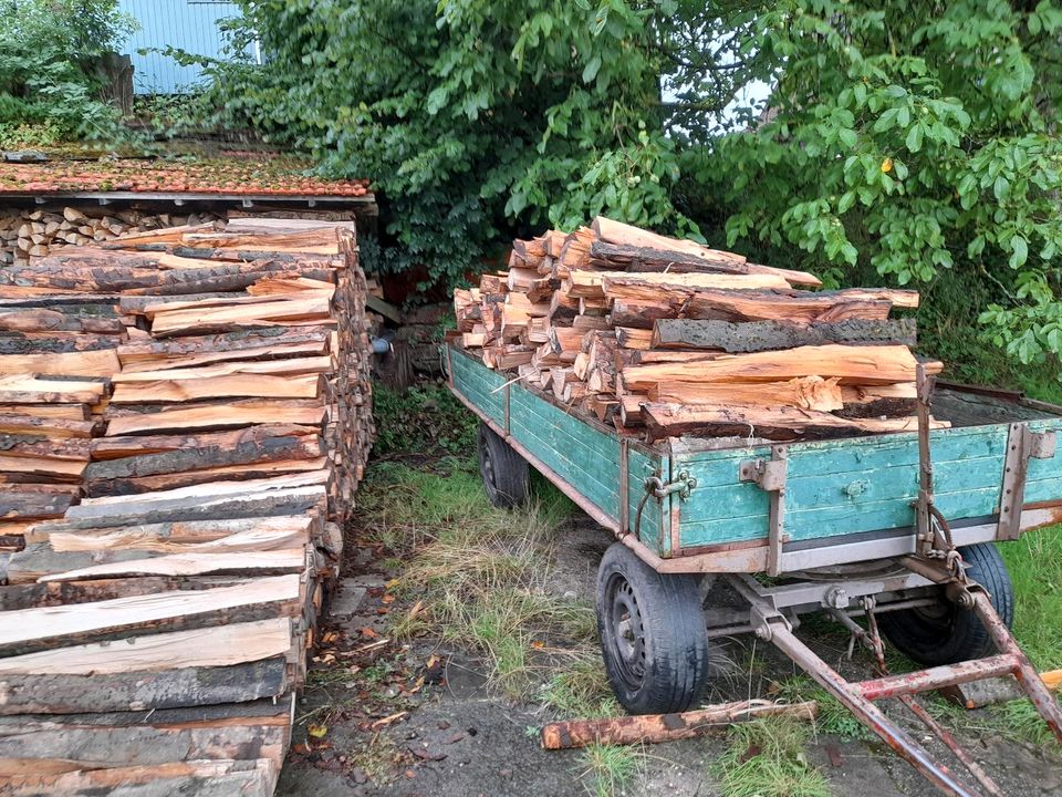 Brennholz frisch oder trocken in Schorndorf