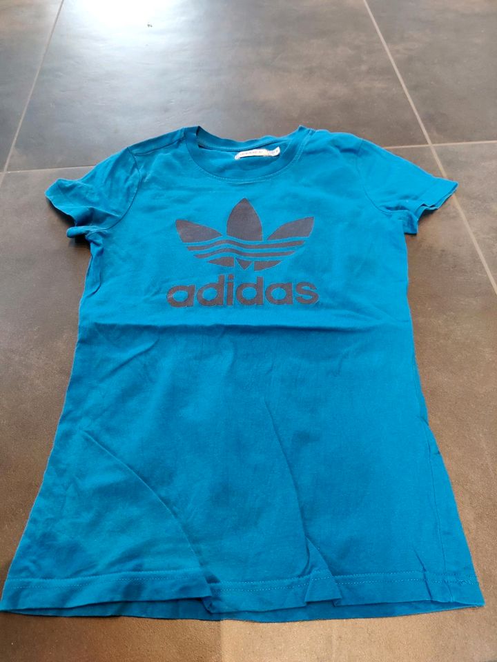 Shirt T-Shirt Adidas blau 36 in Stralsund