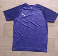 PUMA - Sport - Shirt, Gr. 164 - lila -TOP Rostock - Seebad Warnemünde Vorschau