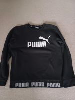 Puma Pullover Schleswig-Holstein - Osterrönfeld Vorschau