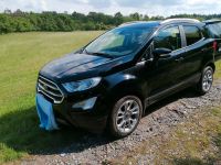 Ford EcoSport 1,0 EcoBoost 92kW Titanium Automati... Sachsen-Anhalt - Mansfeld Vorschau