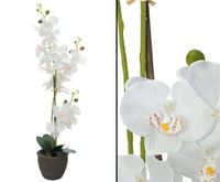 Orchidee künstliche Blume mit weißen Blüten 65cm Topf  #82530362B Bayern - Jettenbach Vorschau