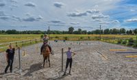 Tageskurs „Working Equitation“ am 21.09. in 16727 Oberkrämer Brandenburg - Oberkrämer Vorschau