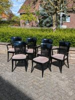 Tonon Stühle Made in Italy 6 Stück Niedersachsen - Pollhagen Vorschau