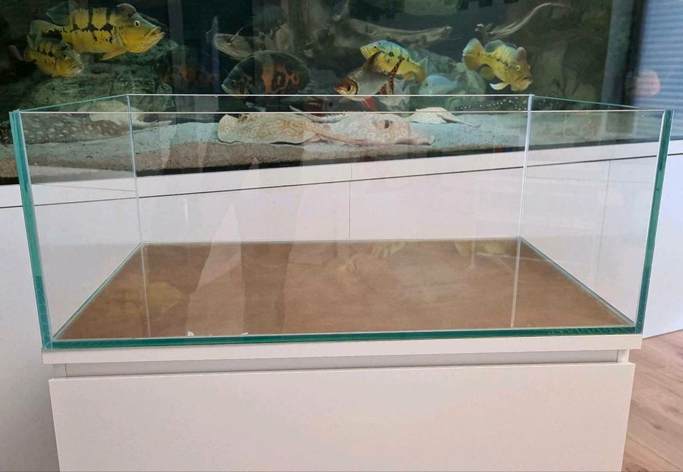 100x40x30 Aquarium Weißglas 120l NEU  Lagerverkauf in Bad Nenndorf