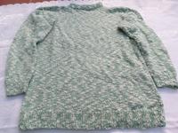Pullover -Gr. 36 / 38 Brandenburg - Hosena Vorschau