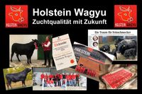 Wagyu Rinder & Genetik direkt vom Champion-Zuchtbetrieb Neumünster - Negenharrie Vorschau