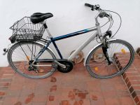 Blaues Herren Fahrrad Pegasus Avanti ALU 21 Gänge 55er Rahmen Bayern - Bad Abbach Vorschau