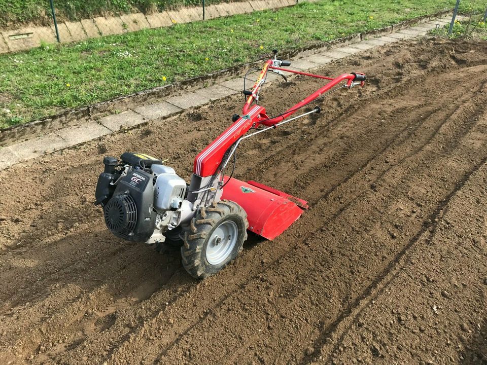 Service für Haus & Garten in Baden-Baden