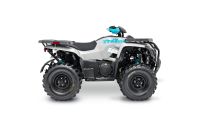 Quad/ATV ACCESS 660 grey edition 4x4 LOF Schleswig-Holstein - Travenbrück Vorschau