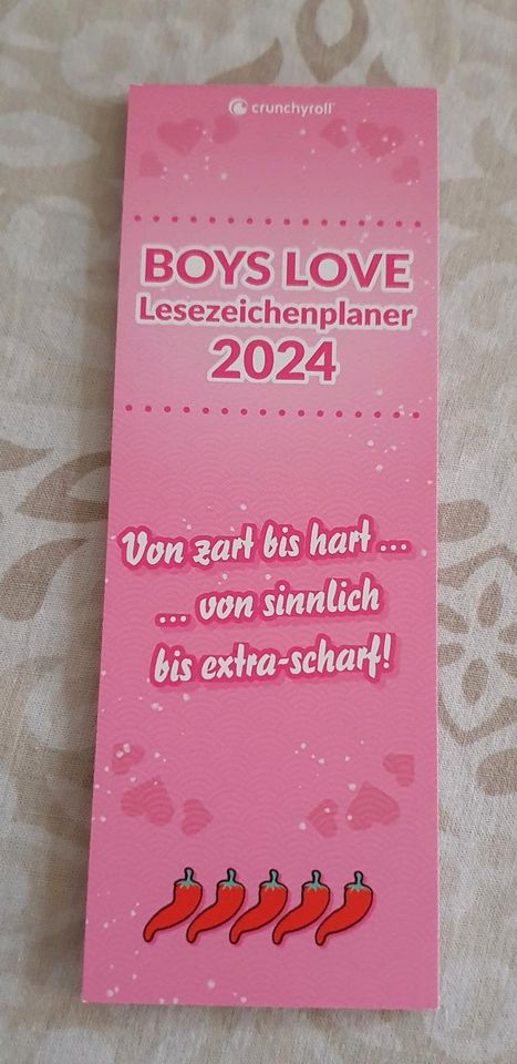 Boys Love - Set (Leseproben darin 1x Poster, Postkasten,Kalender) in Seevetal