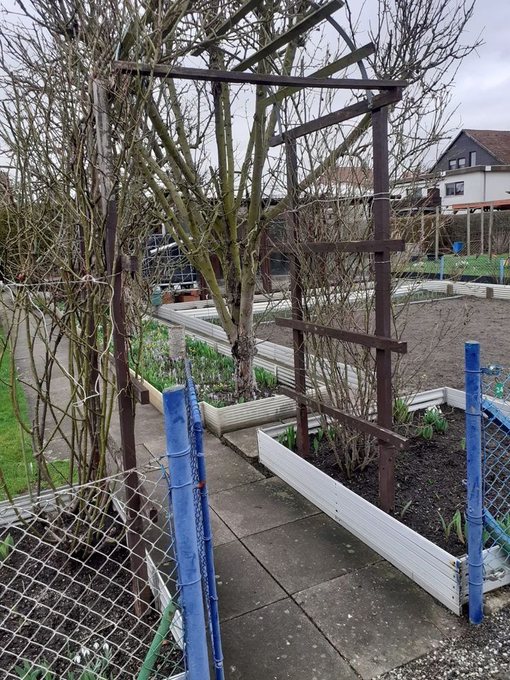 Kleingarten, Pachtgarten, Schrebergarten am Sollingtor in Northeim