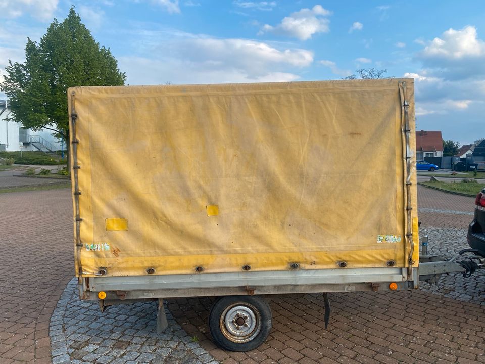 PKW Anhänger Hochlader, Heinemann mit 1300kg zul. Gesamtgewicht in Elbe-Parey