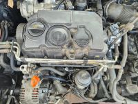 VW 1.9 TDI BLS Motor Baden-Württemberg - Sinsheim Vorschau