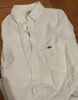 Lacoste Herren Hemd weiß Größe 40 München - Laim Vorschau