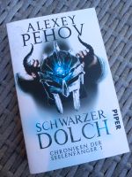 Schwarzer Dolch (Chroniken der Seelenfänger 1) Sachsen - Zwickau Vorschau