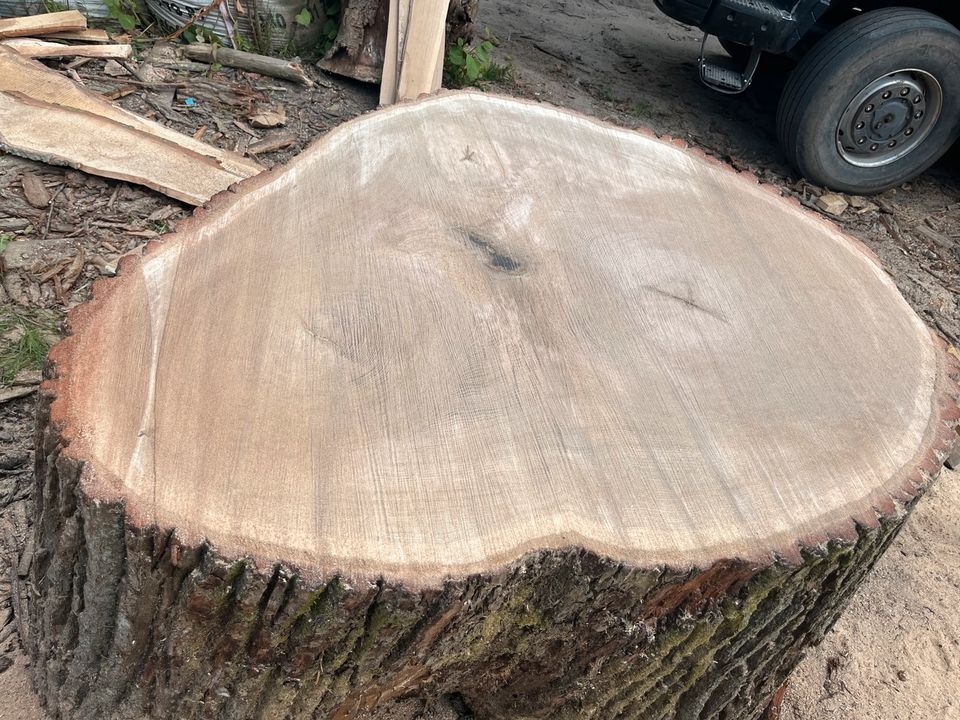 Eichenscheiben XXXL als Tischplatte Holzplatte Bohle in Tangstedt 