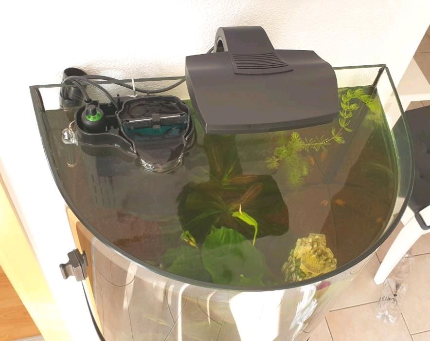 Tetra Explorer Line | Design Aquarium - Aquarium - 60 L Nordrhein-Westfalen Kleinanzeigen ist in eBay Kleinanzeigen Komplett-Set Iserlohn jetzt