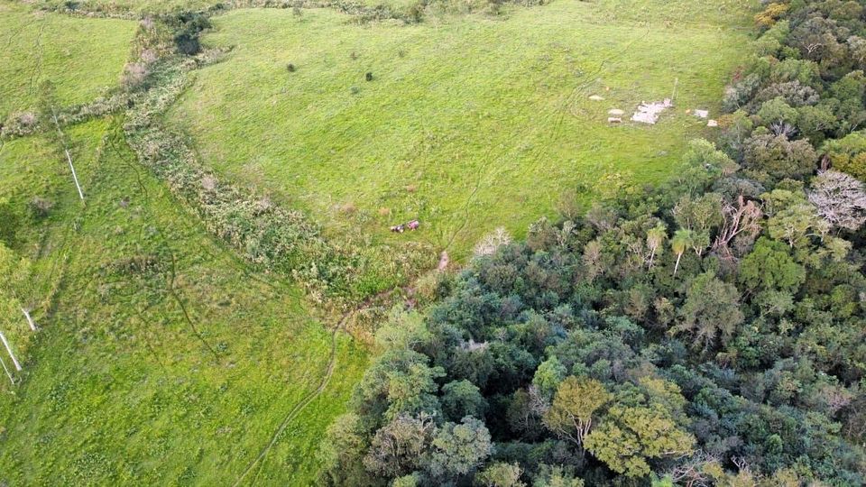 Zwei Hektar Grundstück im grünen Independencia / Paraguay in Bad Münder am Deister