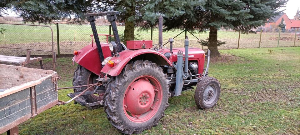 Traktor Massey Ferguson 35 mit 2t Anhänger in Wrestedt