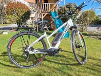 E-Bike Centurion E-Fire 510 Tour 2016 Baden-Württemberg - Tettnang Vorschau