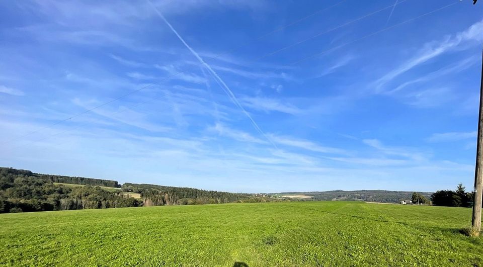 Bauernhaus (Ortsrandlage) mit 7,4 ha Land im Hunsrück Nähe Morbach (5.028 qm direkt am Haus) in Sensweiler