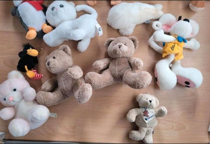 14 Kuscheltiere Stofftiere Plüsch Tiere Diddel Rabe Socke Ente in Markt Rettenbach