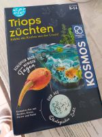 Kosmos Experimentierkasten Fun Science Triops züchten Hessen - Rödermark Vorschau