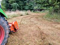 Grundstück Bauplatz und Koppel mulchen / mähen oder entbuschen Bayern - Schöllkrippen Vorschau