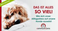 Alltagsstress - was bedeutet das für unser Haustier ? Online Bayern - Rieden a. Forggensee Vorschau