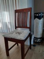 Esszimmer Stühle von Jysk Niedersachsen - Bawinkel Vorschau