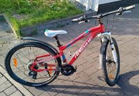 Haibike 27.5 Mädchen Mountainbike Pink Rheinland-Pfalz - Thomm Vorschau