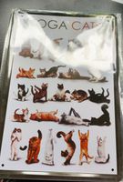 Yoga Cats Blechschild Schild Sylt - Westerland Vorschau