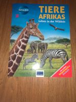 Galileo Sachbuch - Tiere Afrikas Leben in der Wildnis Nordrhein-Westfalen - Engelskirchen Vorschau