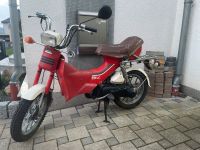 Tausche/Verkaufe Honda Px-l Mofa sehr Selten Erster Hand Saarland - Mandelbachtal Vorschau