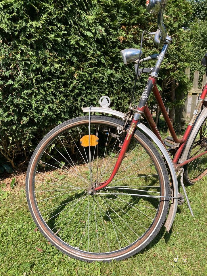 Fahrrad Oldtimer Bauer Liebhaber in Lehmrade Holstein